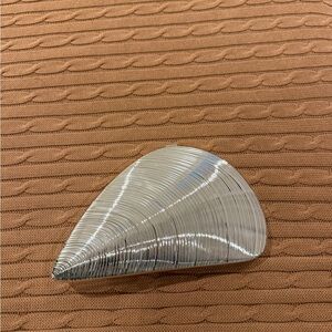 Silver Metallic Clutch